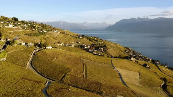 Aerial shot near Aran, Lavaux - Switzerland. Lake Léman and the Alps and the background. Sunset lig alt