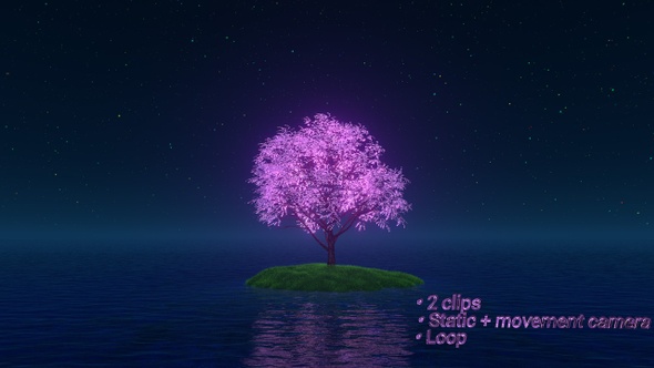 Single Blooming Pink Tree in the Ocean. Night