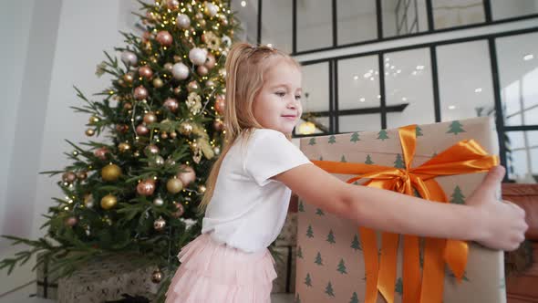 Charming Little Girl Holds a Gift on a Background of Christmas Trees alt