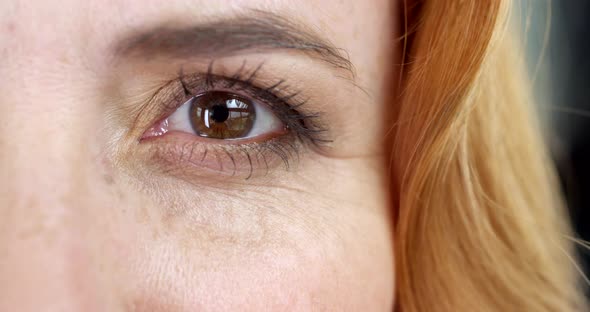 Brown Eye of a Woman With a Foxy Hair