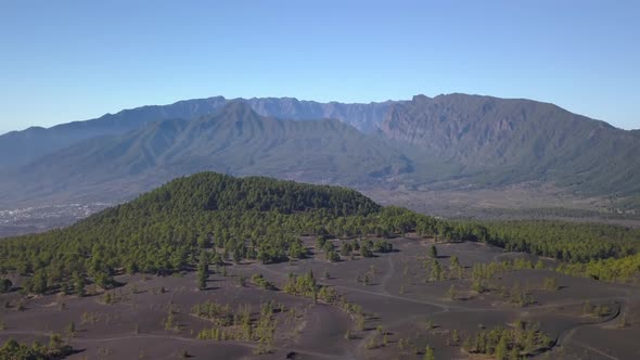 Volcanic Landscape and Pine Forest