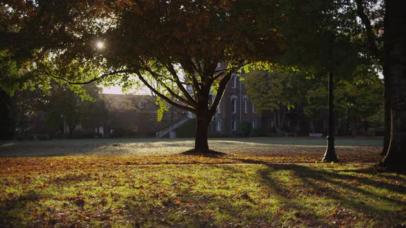 College student on campus riding bicycle