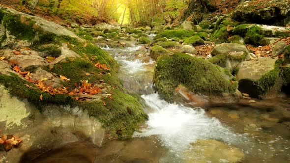 Lake in Autumn Forest