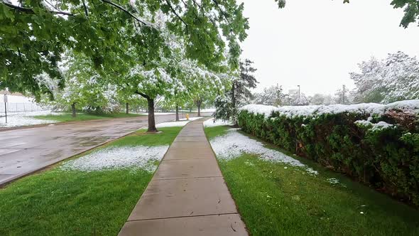 Walking on path as snow slowly falls during cold weather in Colorado alt