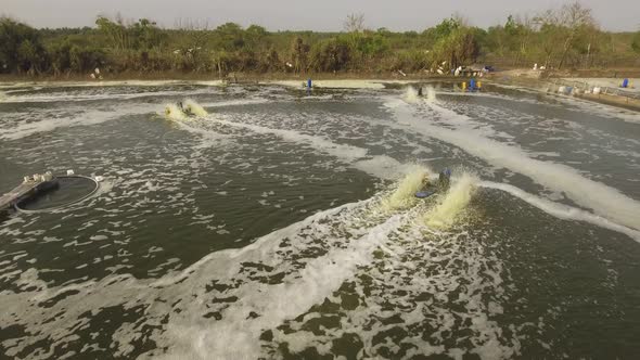 Shrimp Farming in Indonesia alt