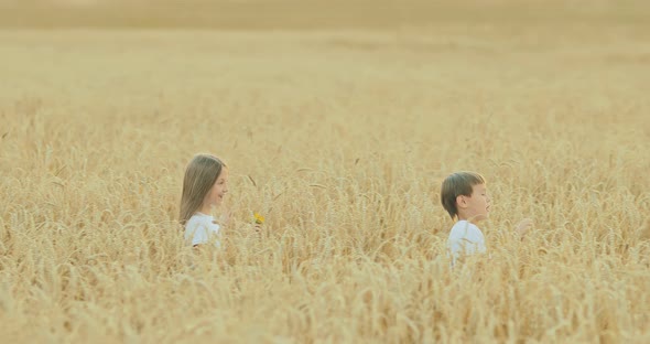 Boy and Girl are Walking Along the Golden Field