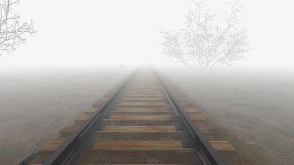 Travel by train on the railroad in the fog.
