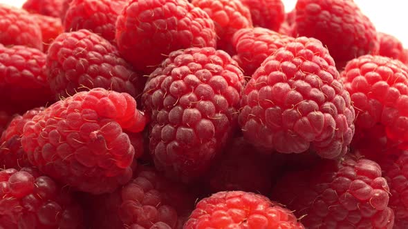 Macro Rotation Raspberry alt