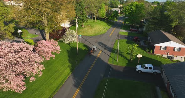 Amish horse and buggy carriage. Aerial in spring. Long shadows in golden hour light. Anabaptist Plai alt