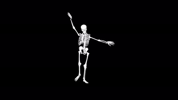 Skeleton Dance 06