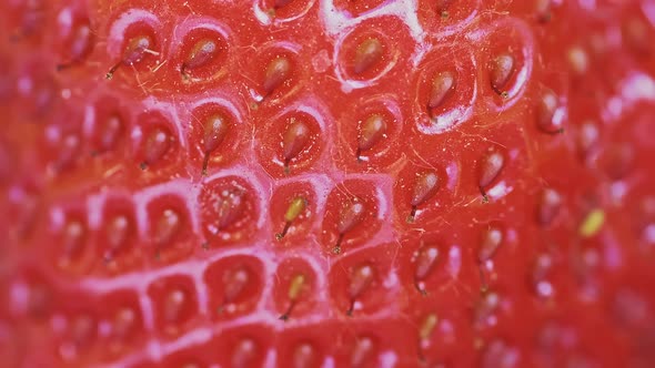 Super Macro of the Ted and Ripe Strawberry Fruit on a Sunny Day