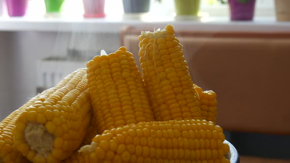 Boiled Corn in a Large Bowl in the Home Kitchen alt