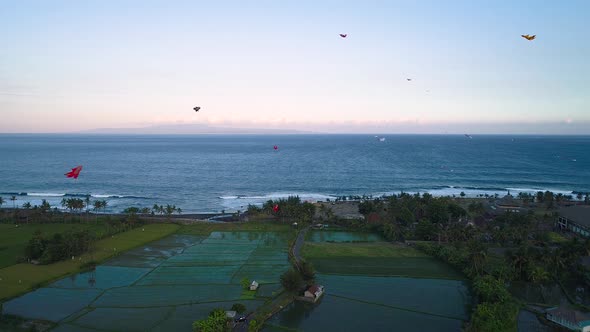 Kites Fly on the Ocean Shore Near the Rice Terraces alt