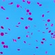 Round Pink Confetti Floating in Air on Blue Screen Chroma Key Background - VideoHive Item for Sale