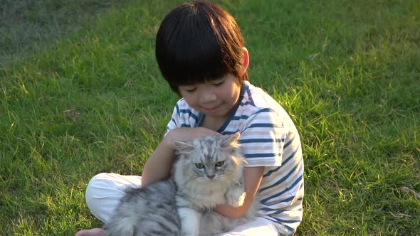 Cute Asian Child Playing With Persian Cat In The Park Outdoor alt