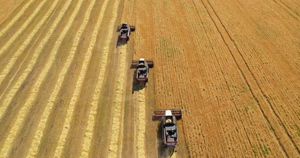 Combine harvesters from the air