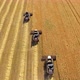 Combine harvesters from the air - VideoHive Item for Sale