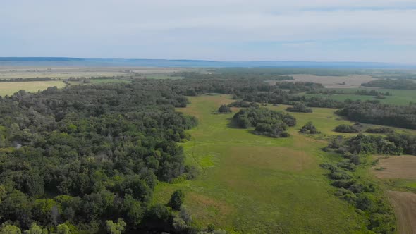 An Aerial View. Beautiful Summer Landscape in the Middle Strip of Russia. Along the Narrow, Winding alt