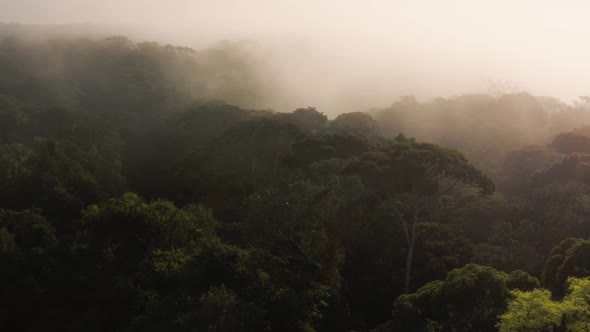 Aerial Drone Shot Above Rainforest Scenery in Costa Rica, Misty Tropical Jungle Landscape High Up Ab alt