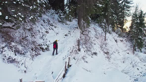 A Tourist Climbs a Forest Path in Winter