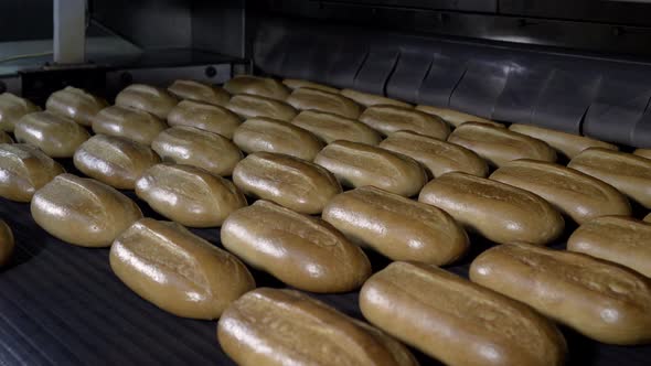 Loaf of Bread on the Production Line in the Bakery. Baked Loaf of Bread in the Bakery alt