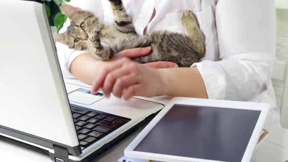 Woman work with a cute kitten