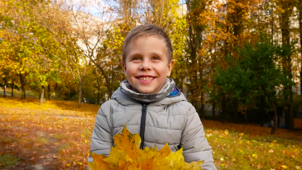 A Boy Holds a Bouquet of Yellow Leaves in His Hands and Throws It Up