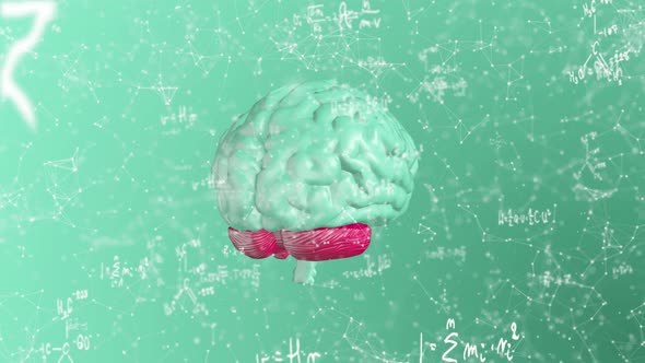 Turkuaz Plexus Brain Formula Background