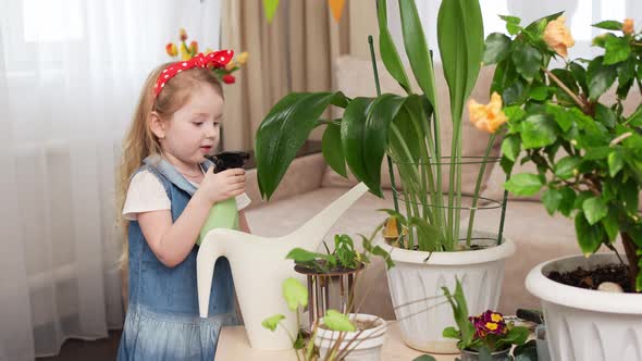 a Little Pretty Girl Sprays the Houseplant with Water alt