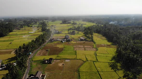 Aerial Rice Fields in Bali, Indonesia