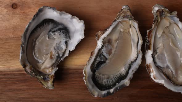 Fresh Oysters 01 alt