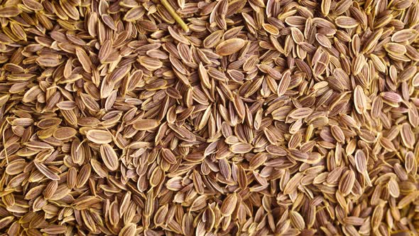 Dill Seeds Background alt