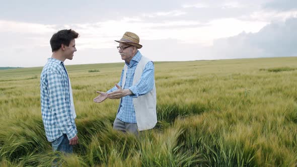 Happy Senior Farmer Admiring of Good Barley Harvest and Embracing Son in Field alt
