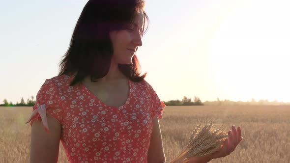 The Girl Enjoys Nature During the Sunset, Holding a Sheaf of Ripe Wheat, Gently Touching the alt