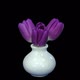 Time-lapse of opening three purple tulips - VideoHive Item for Sale