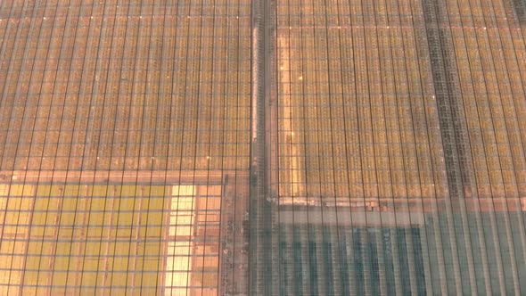 Aerial Photography - Huge Greenhouses with Vegetables and Agricultural Plants alt
