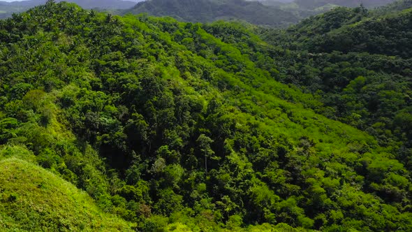 Summer Mountains Green Grass and Blue Sky Landscape alt