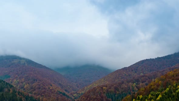 Highland with Forestry Hills and Meadow Under Heavy Clouds
