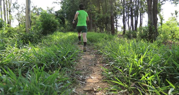 Woman trail runner running in tropical forest mountain alt