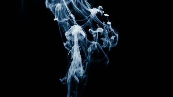 Abstract Ink Colour Flowing in Water alt