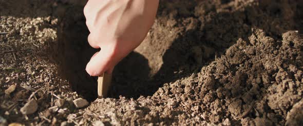 Close up of a woman's hand digging soil with wooden spoon,preparing for planting alt