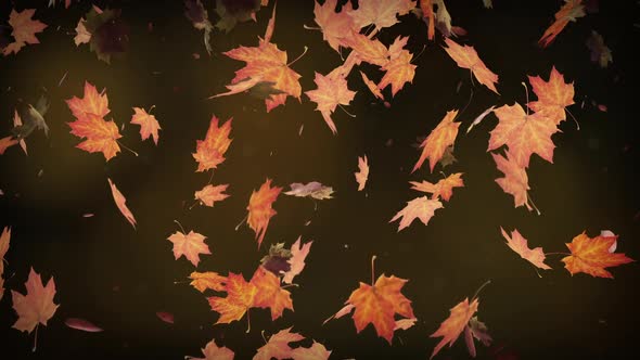 Autumn Leaves Falling Slowly