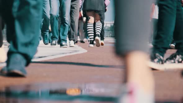Legs of Crowd People Walking on the Street Closeup of People Feet Slow Motion alt