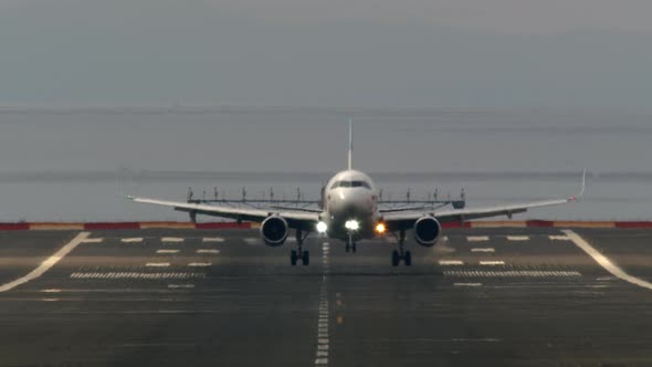 Passenger Plane Landed at the Airport alt