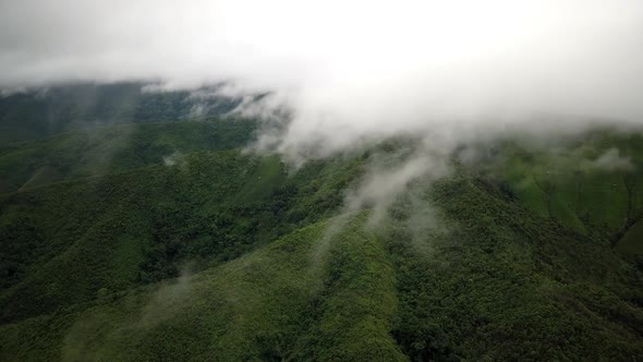 Logistic concept aerial view of countryside road passing through the serene lush greenery and foliag alt