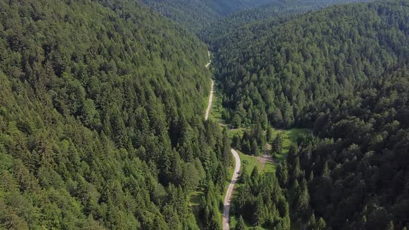 Aerial Forest and Mountain Footage V5 alt