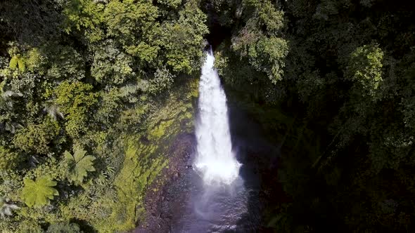 Above Wild Jungle Waterfall
