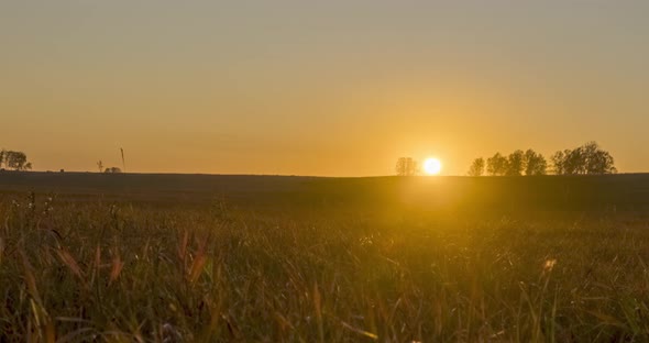 Flat Hill Meadow Timelapse at the Summer Sunset Time. Wild Nature and Rural Grass Field. Sun Rays alt