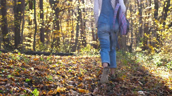 Young Woman with Backpack is Walking Alone at Yellow Autumn Forest Rear View