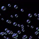Rising &amp; Popping Soap Bubbles - Alpha Channel - VideoHive Item for Sale